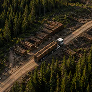 A forestry truck going through forest