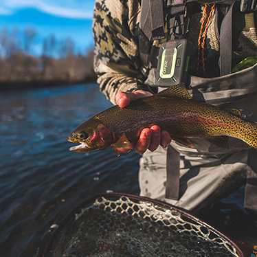 Ambassador Thumbnail Image