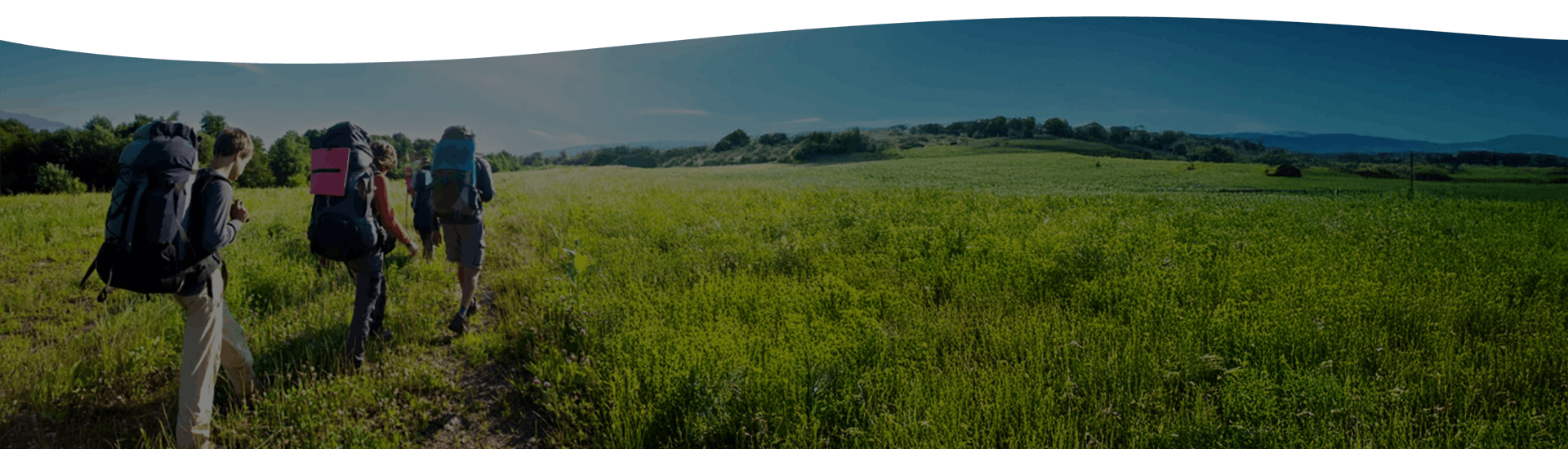 [object Object]&q=80