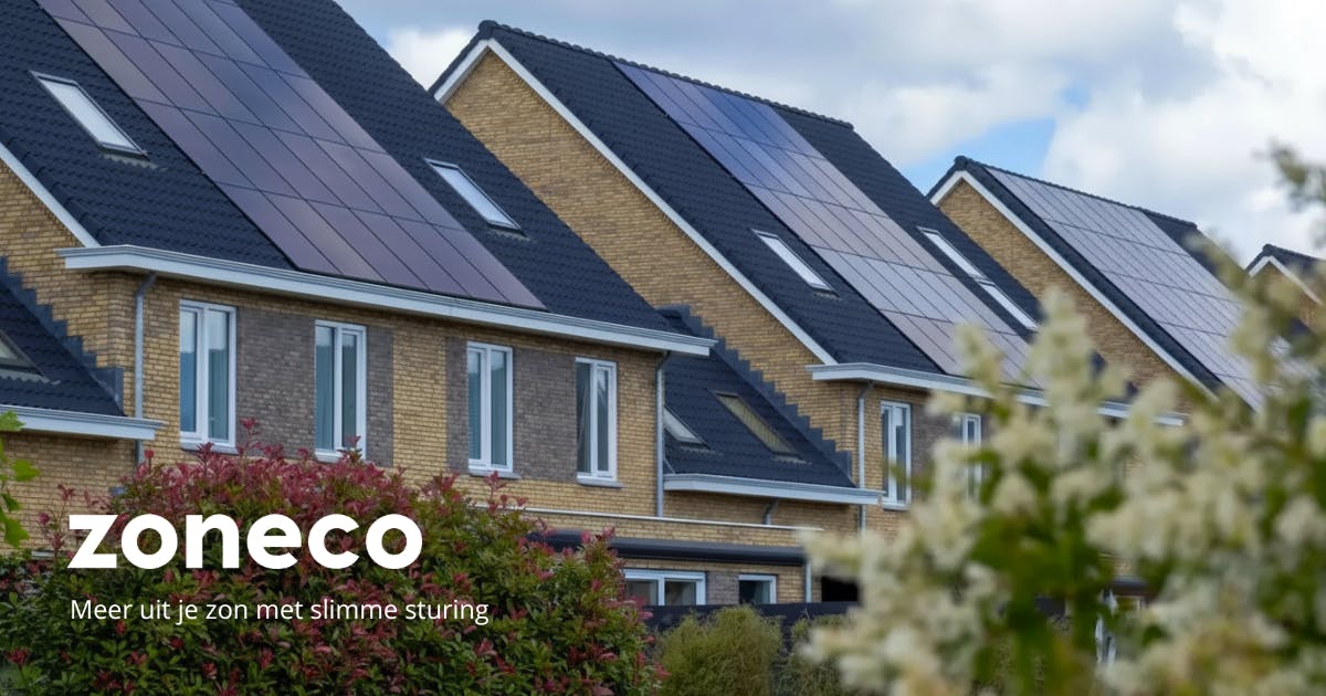 Typen lokale regelingen in 2026