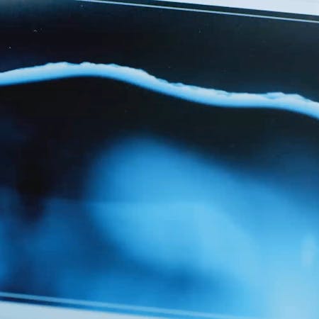 Image taken from the Regenerate campaign