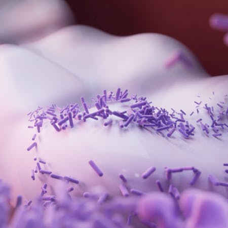 CGI representation of bacteria on teeth