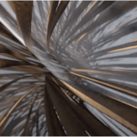 VR experience: a journey inside the hair