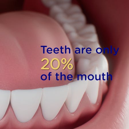 Teeth are only 20% of the mouth