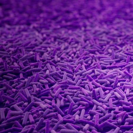 CGI representation of bacteria