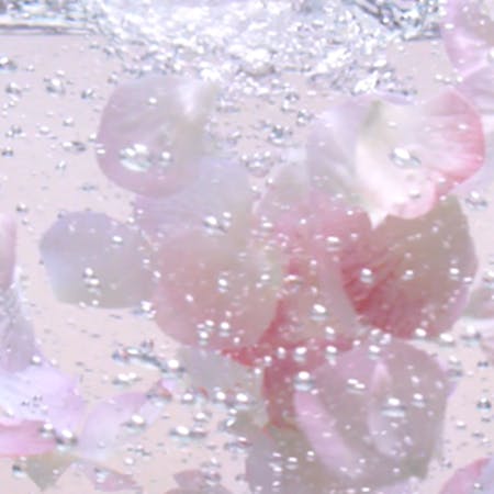 Image of Garnier Sakura Flower