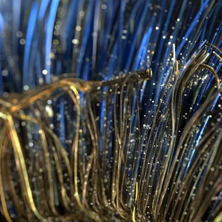 Illustration of the human eye