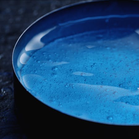 Biotherm fermogenese petri dish