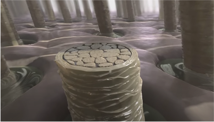 VR experience: a journey inside the hair