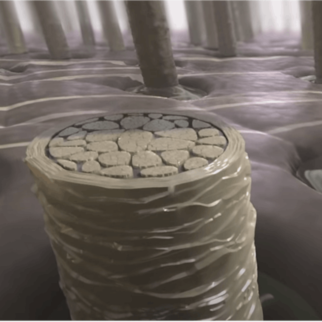 VR experience: a journey inside the hair