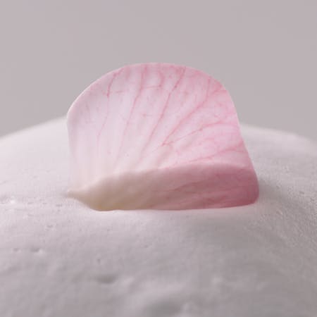 Image of Garnier Sakura Flower