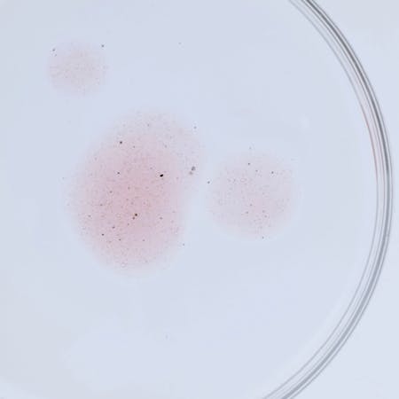 Neutrogena Labs oil