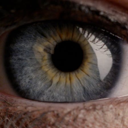 A zoom into an eye