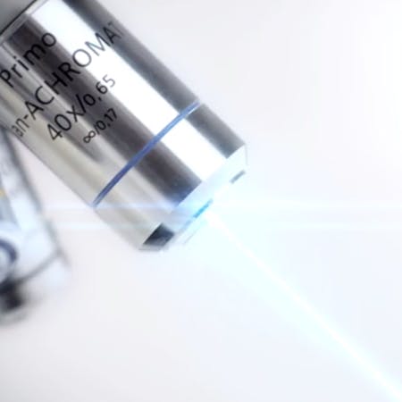 Image taken from the Regenerate campaign