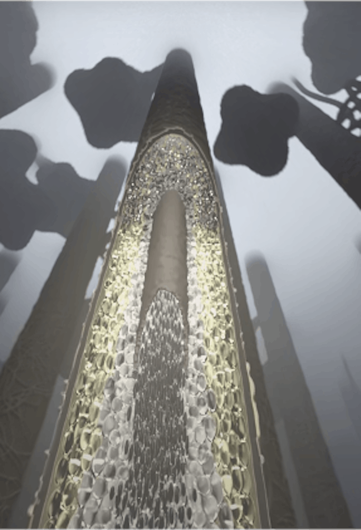 VR experience: a journey inside the hair