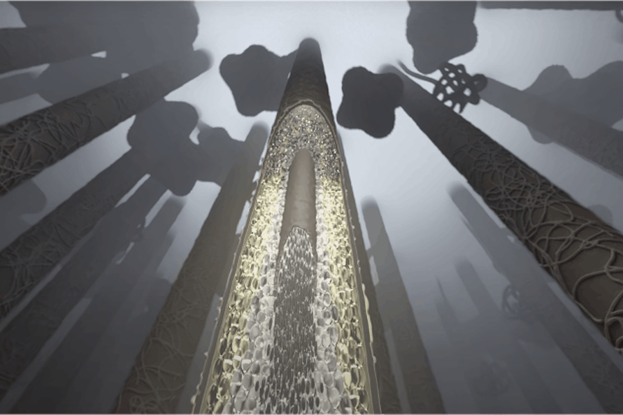 VR experience: a journey inside the hair