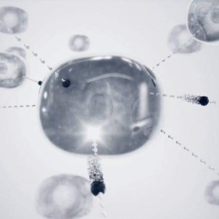 Dior immune cell melatonine