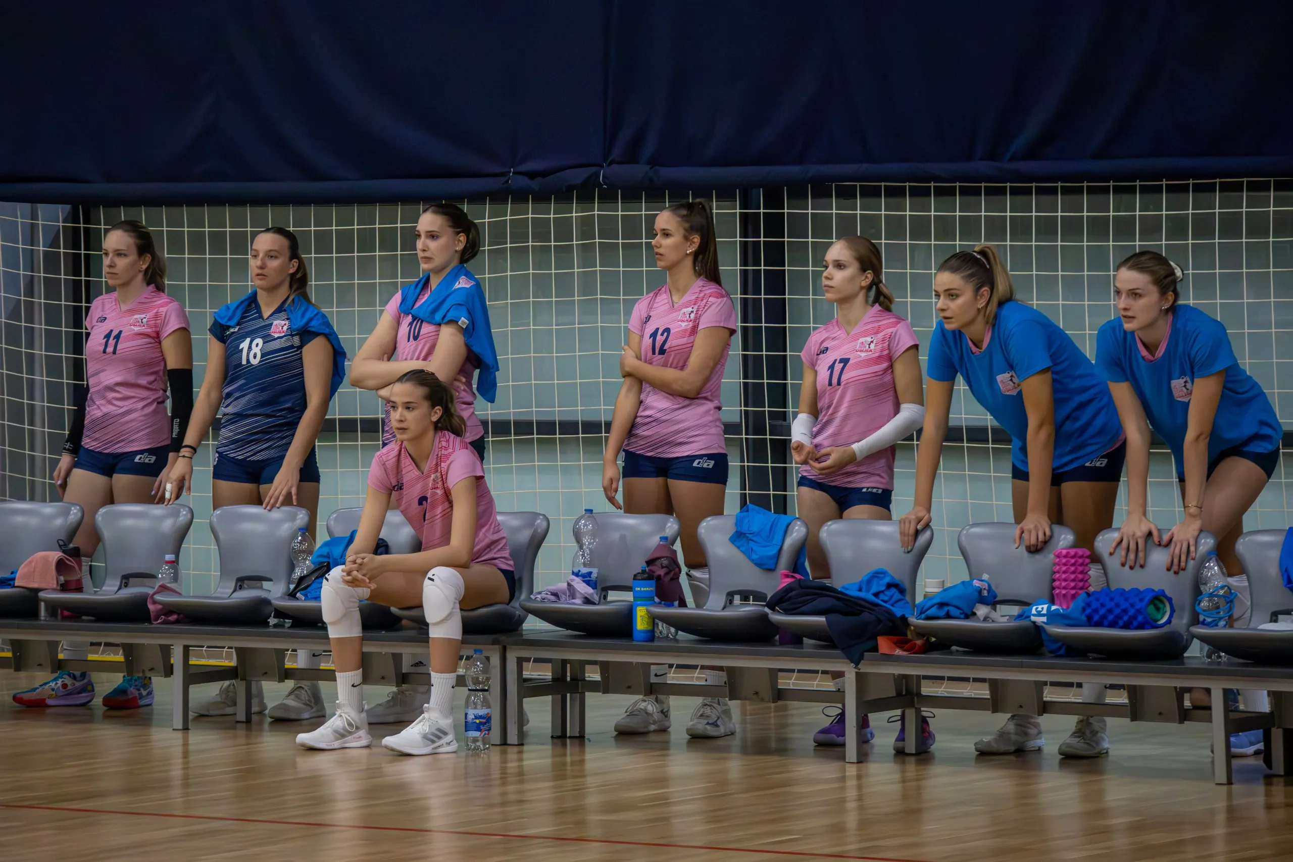 Žokice s novim trenerom dočekuju Dinamo