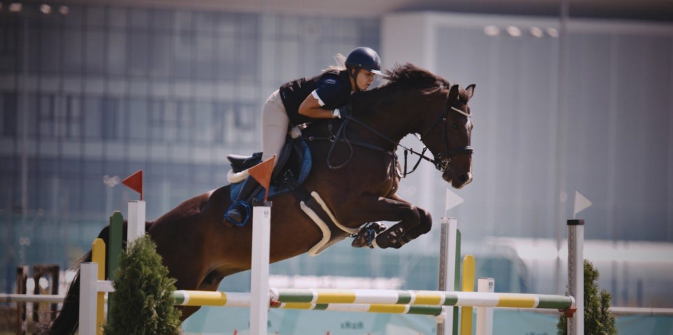 Užitak za jahače i ljubitelje konjičkog sporta
