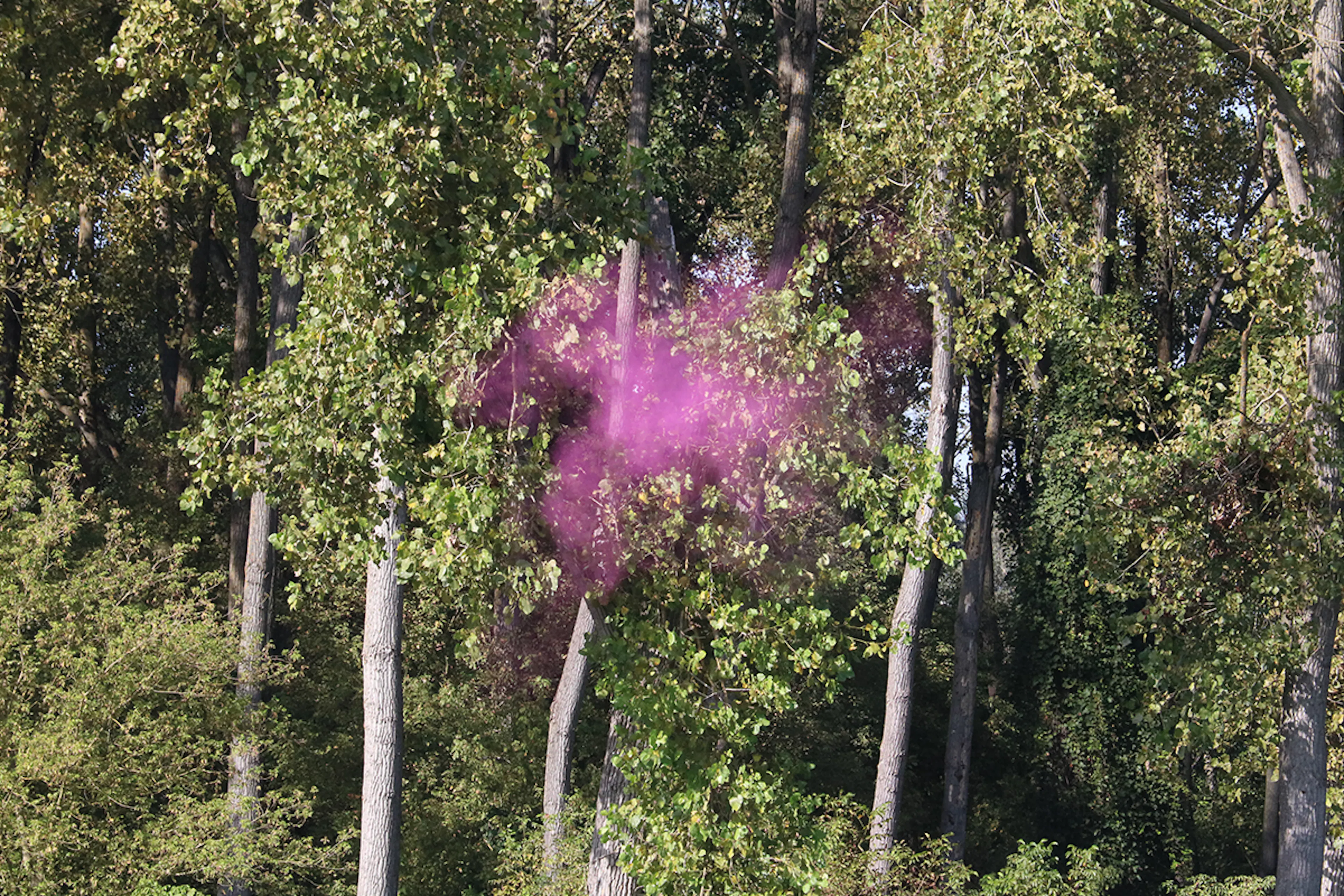 Podijeljene prve medalje i kvote u pojedinačnim Skeet kategorijama!