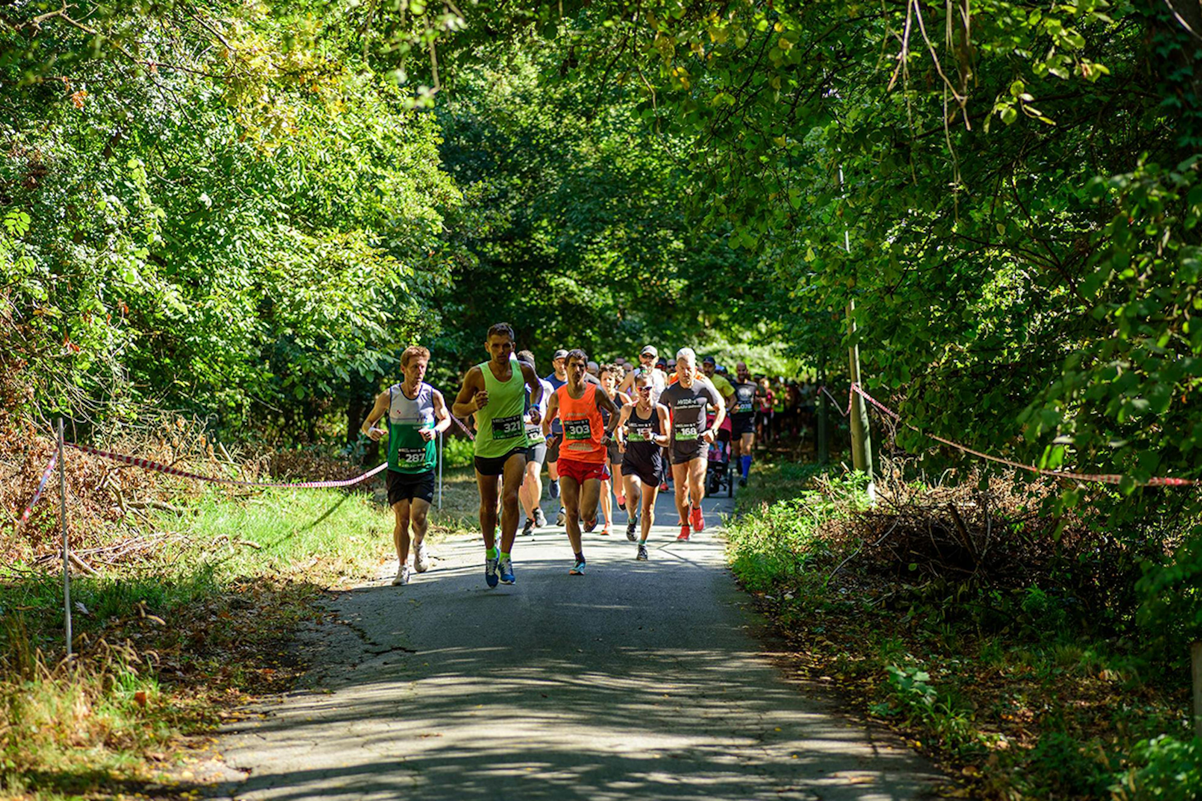 Osmo izdanje Baranjskog Ferivi polumaratona