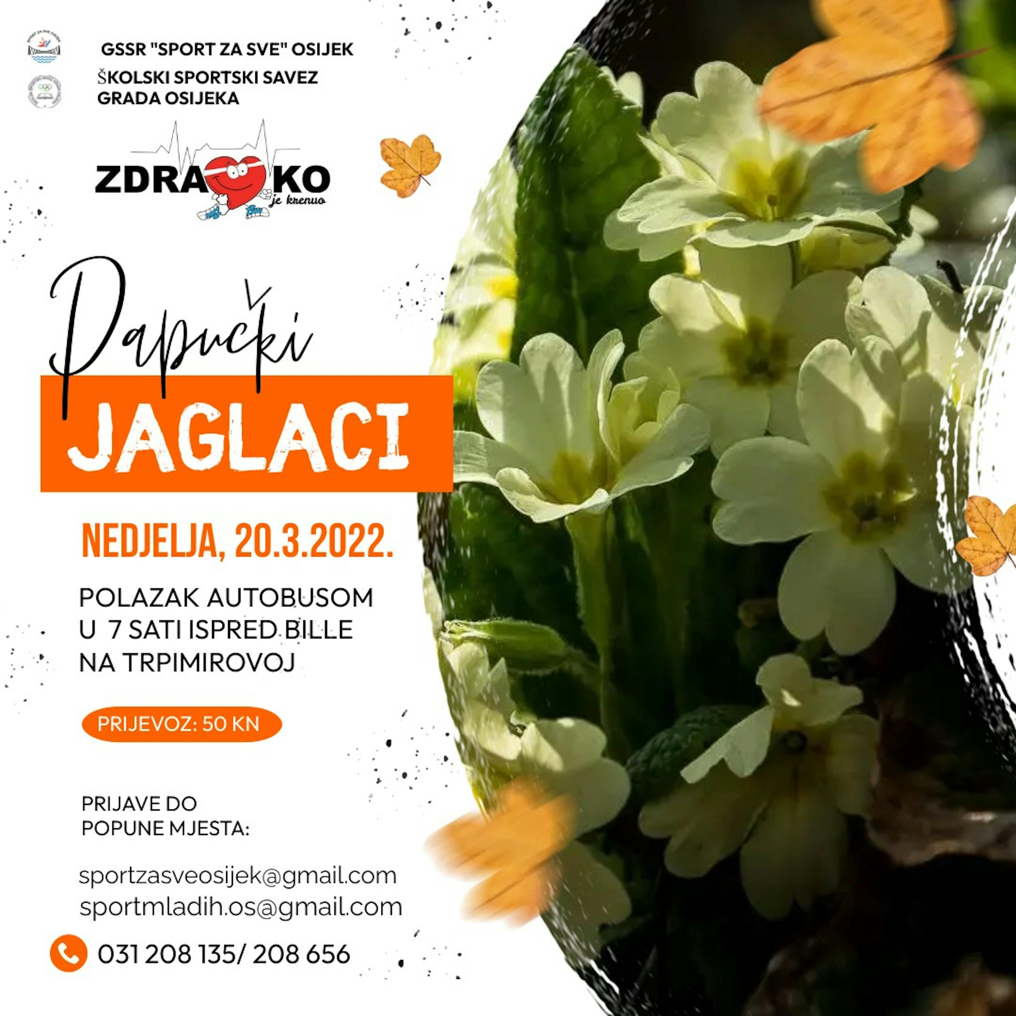 Papučki jaglaci