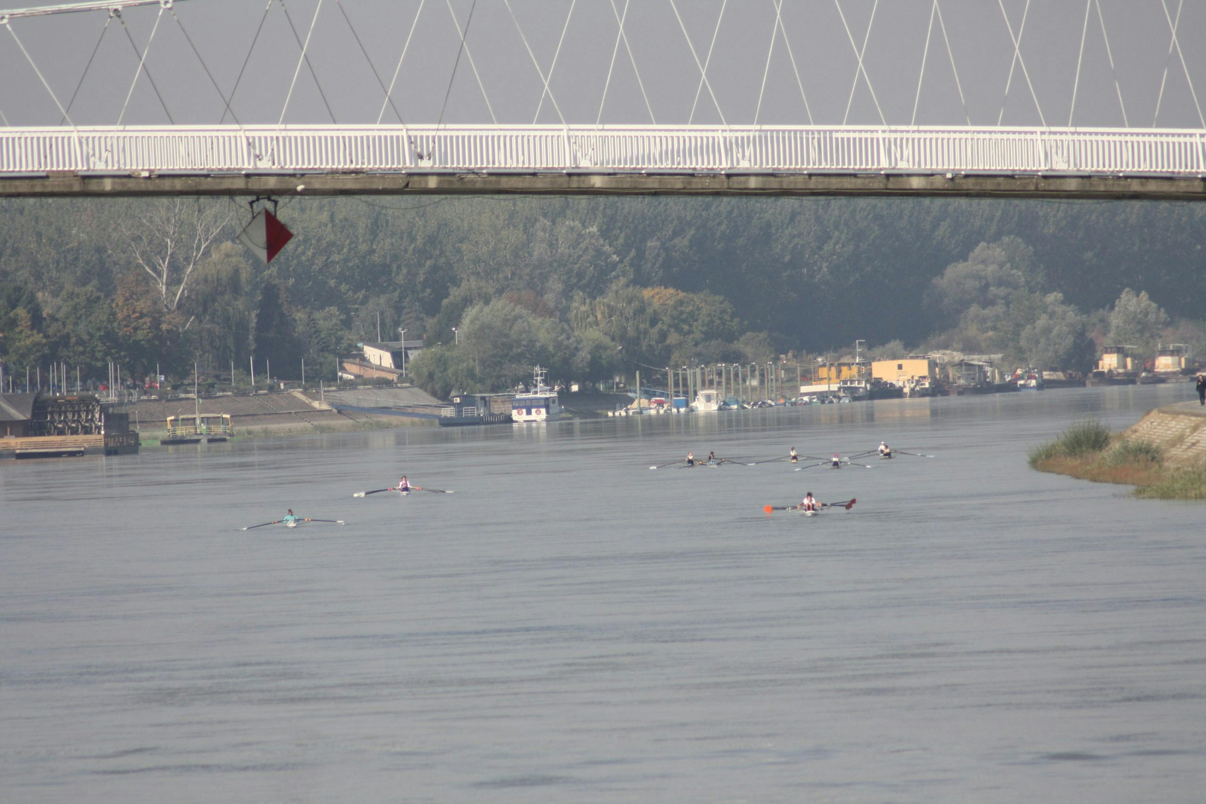 Miholjska regata 2017.