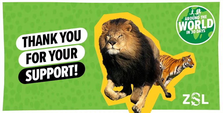 Thank you for your support!