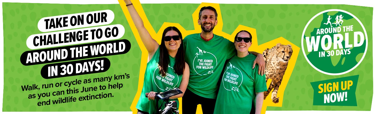 Take on our challenge to go around the world in 30 days! Walk, run or cycle as many km's as you can this June to help end wildlife extinction. SIGN UP NOW!!