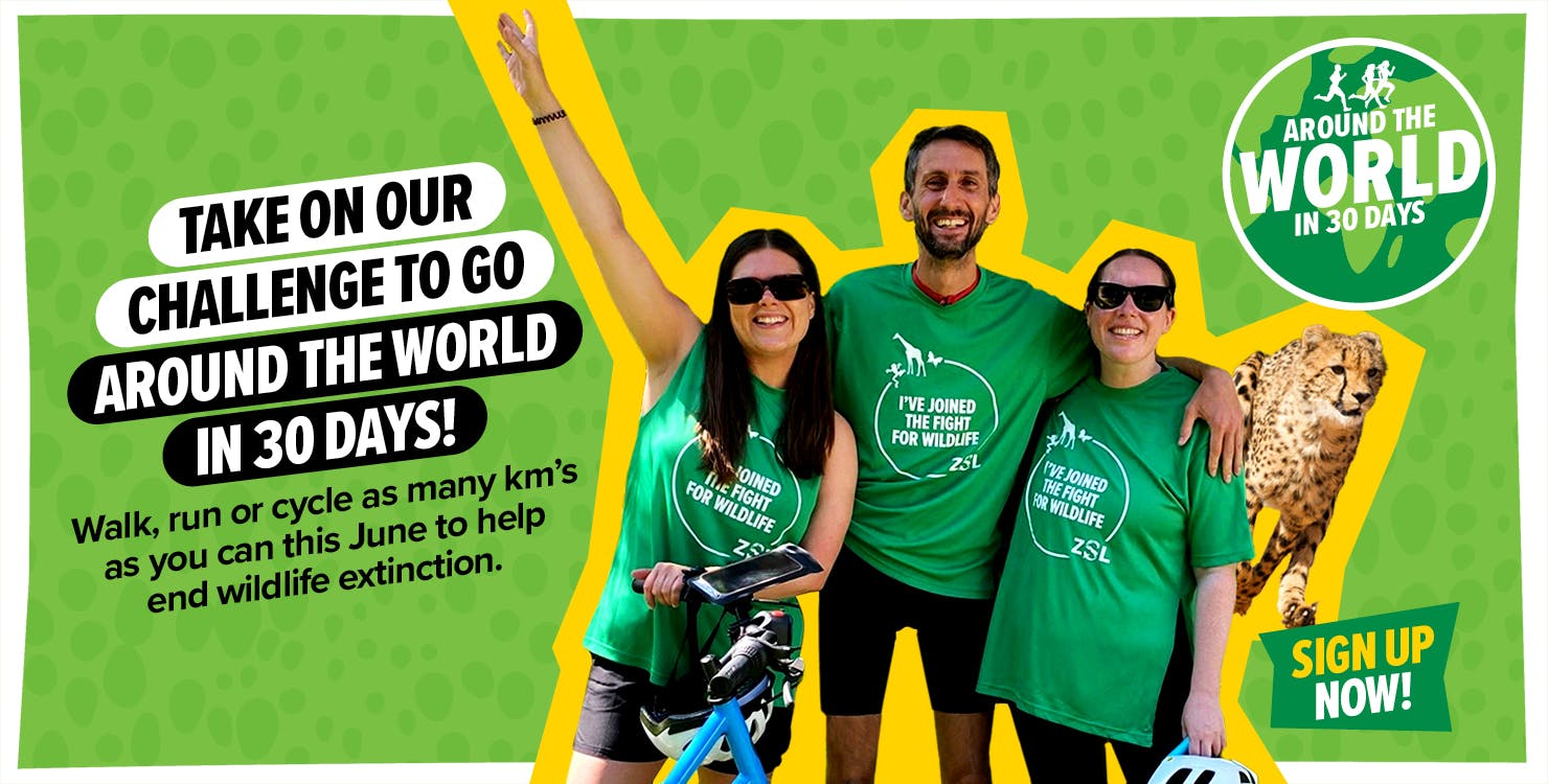 Take on our challenge to go around the world in 30 days! Walk, run or cycle as many km's as you can this June to help end wildlife extinction. SIGN UP NOW!