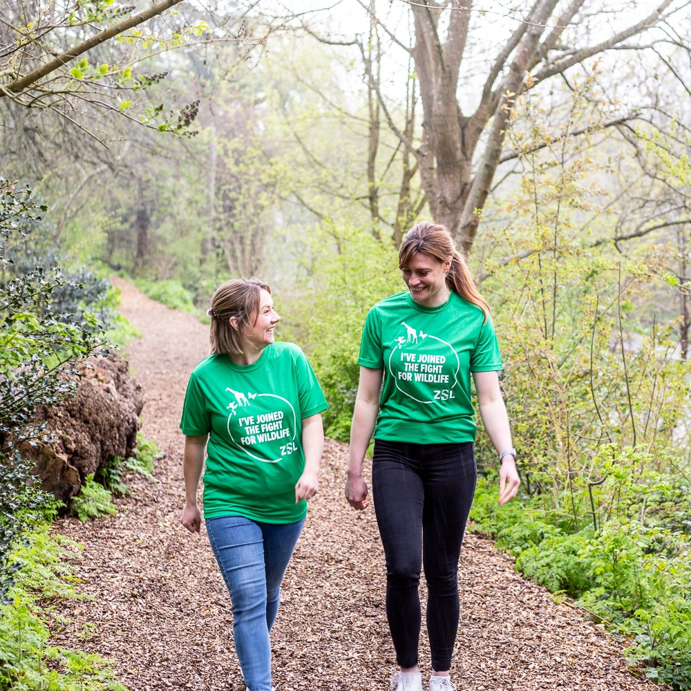 Two women walking along a forest path