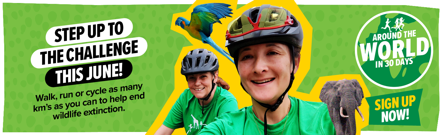 Step up to the challenge this June! SIGN UP NOW!