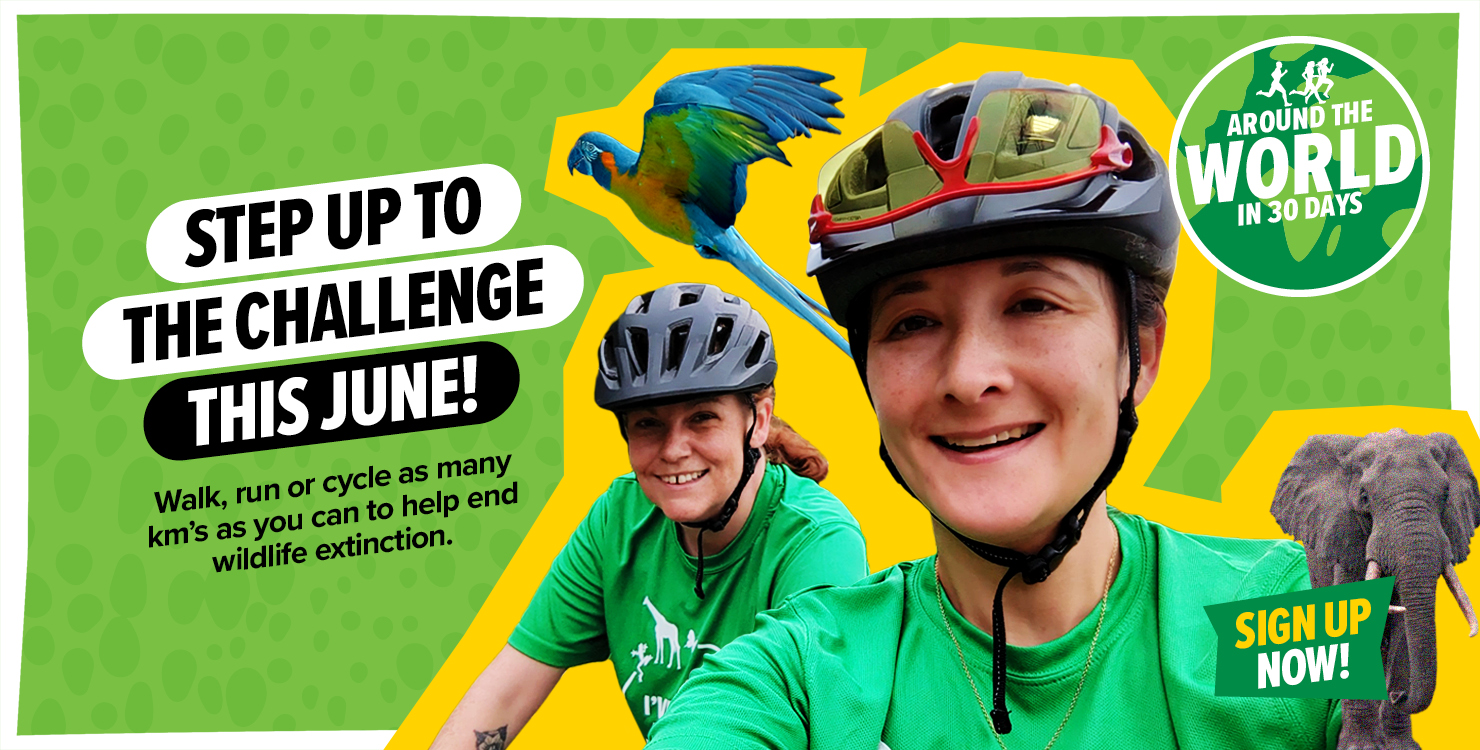 Step up to the challenge this June! SIGN UP NOW!