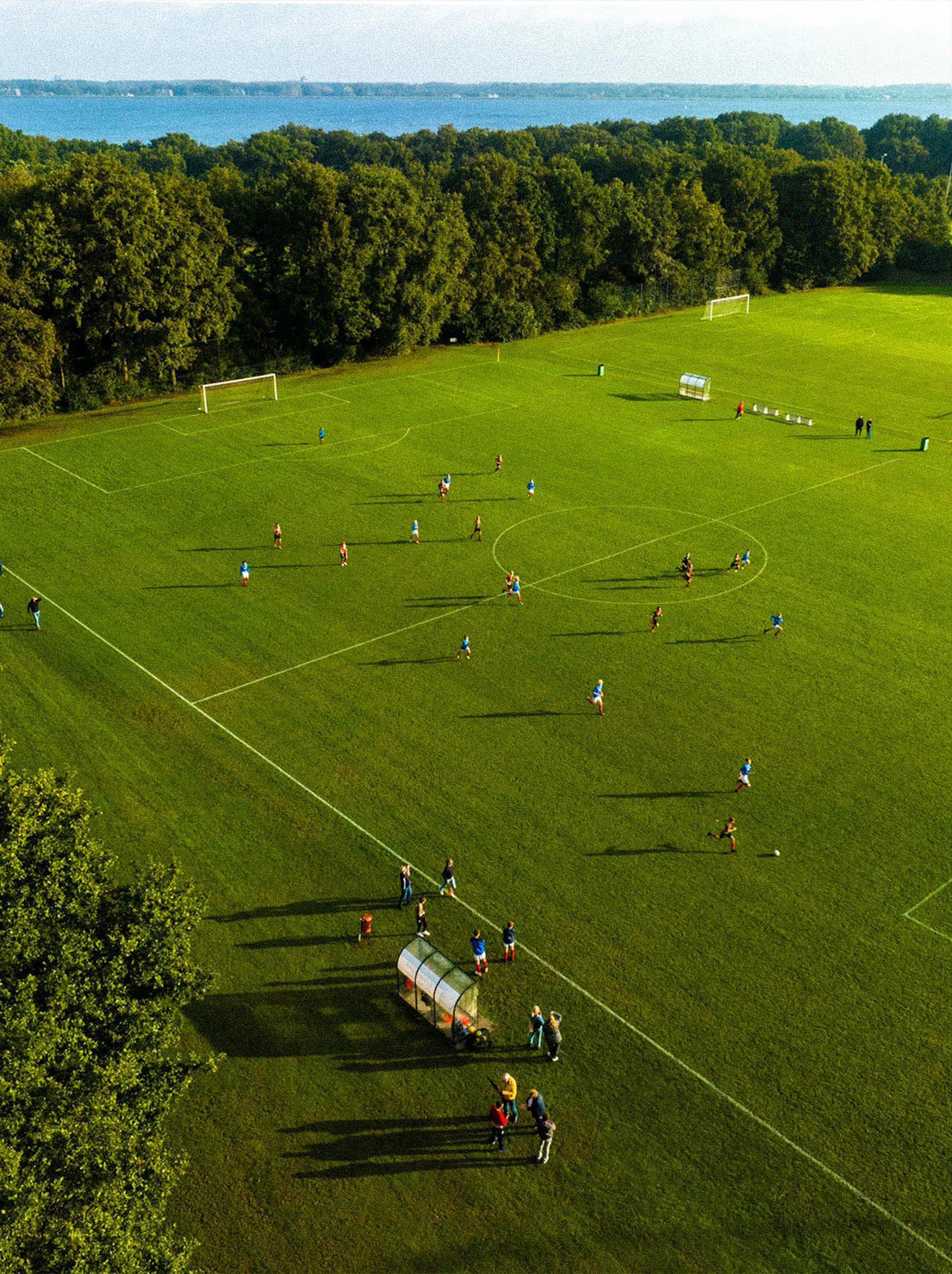 Zuidvogels veld 4
