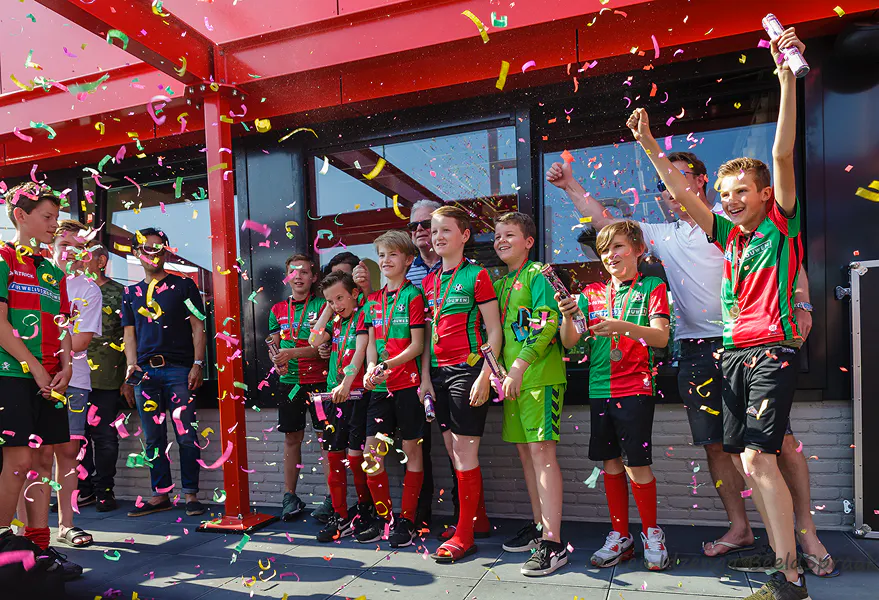 HSV De Zuidvogels series