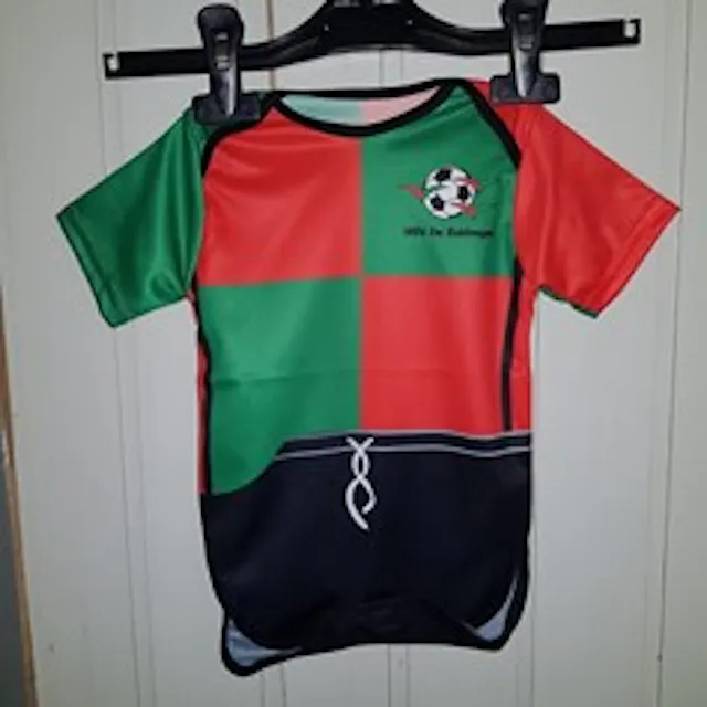 Zuidvogels romper