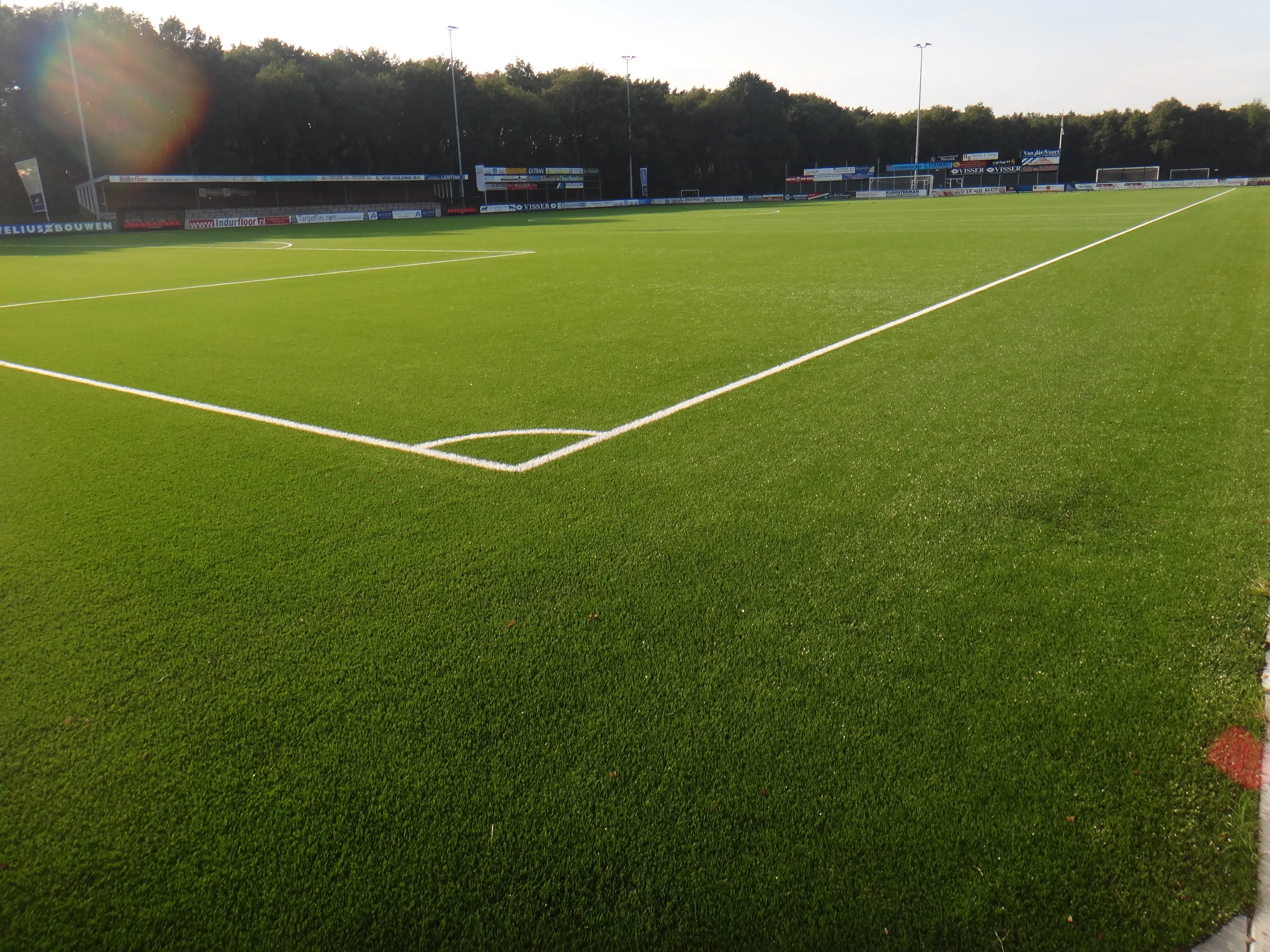 Hoofdveld Zuidvogels