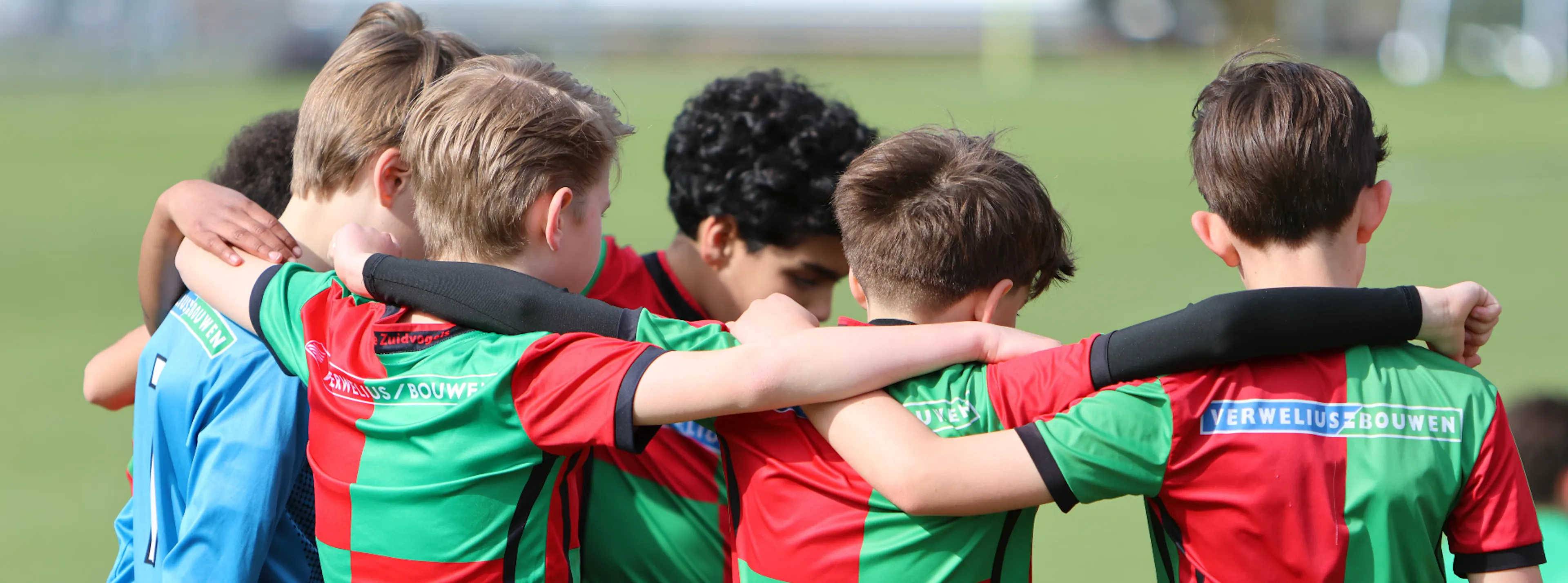 Zuidvogels spelers in kring