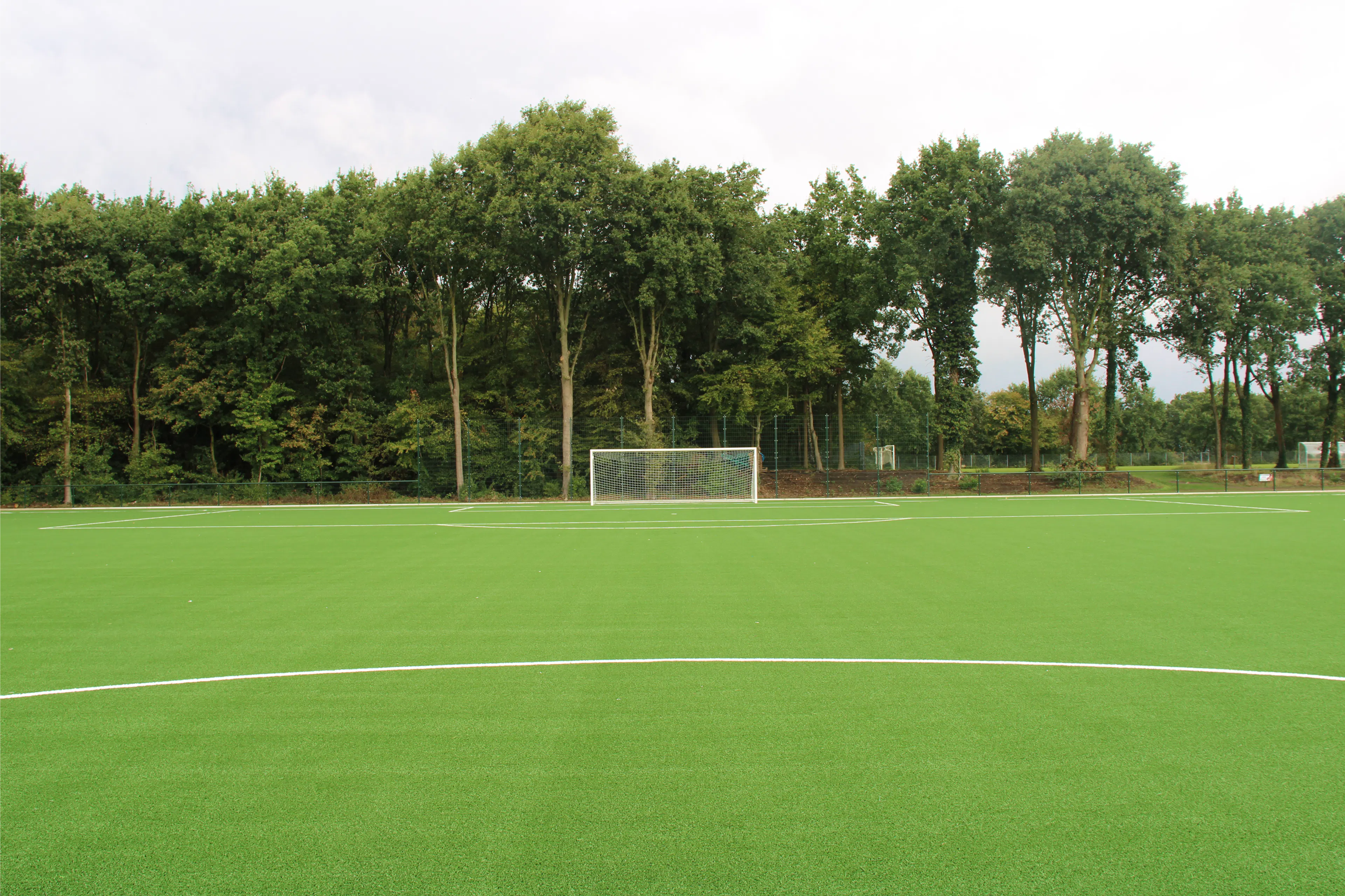 Zuidvogels veld 9