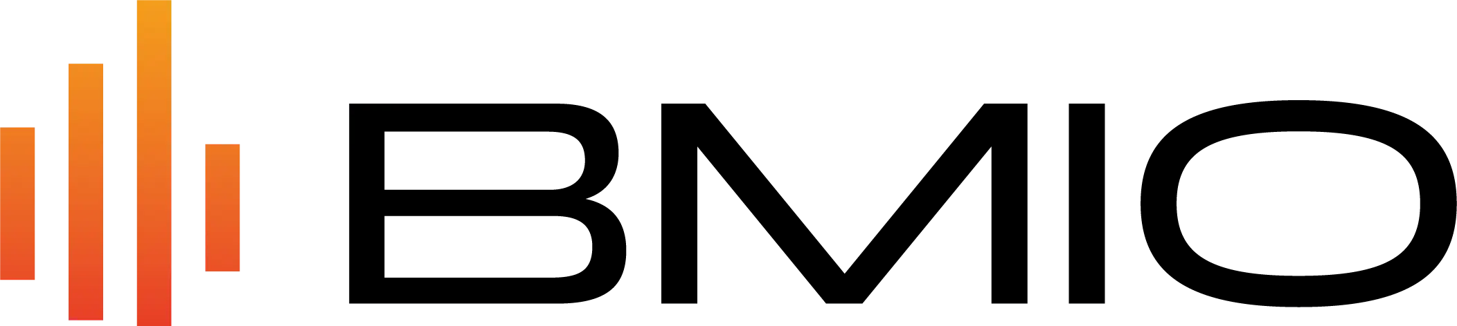Logo BMIO kleur