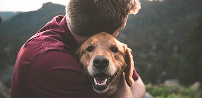 pet