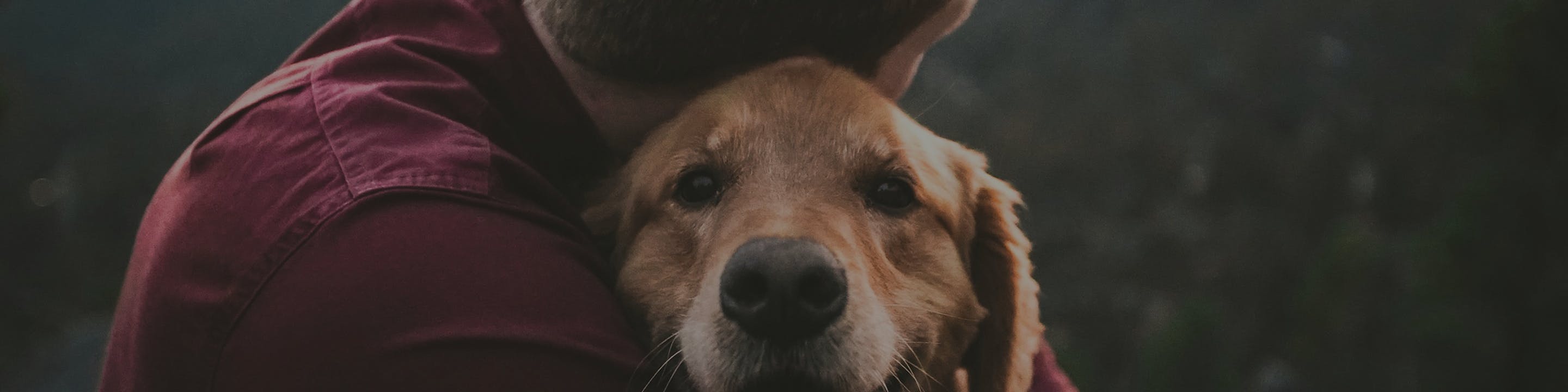 Hero pet 
