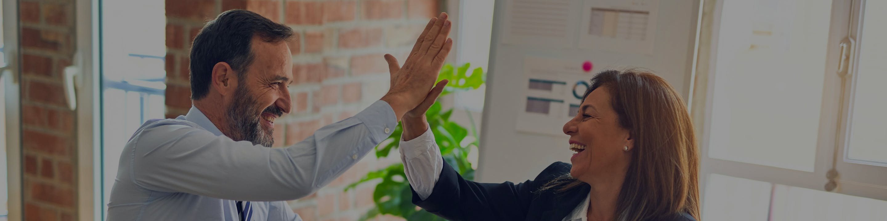 Seguros para empresas