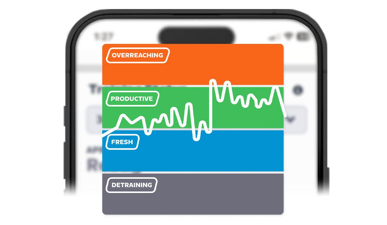 STRUMENTI DI
ALLENAMENTO
PERSONALIZZATI