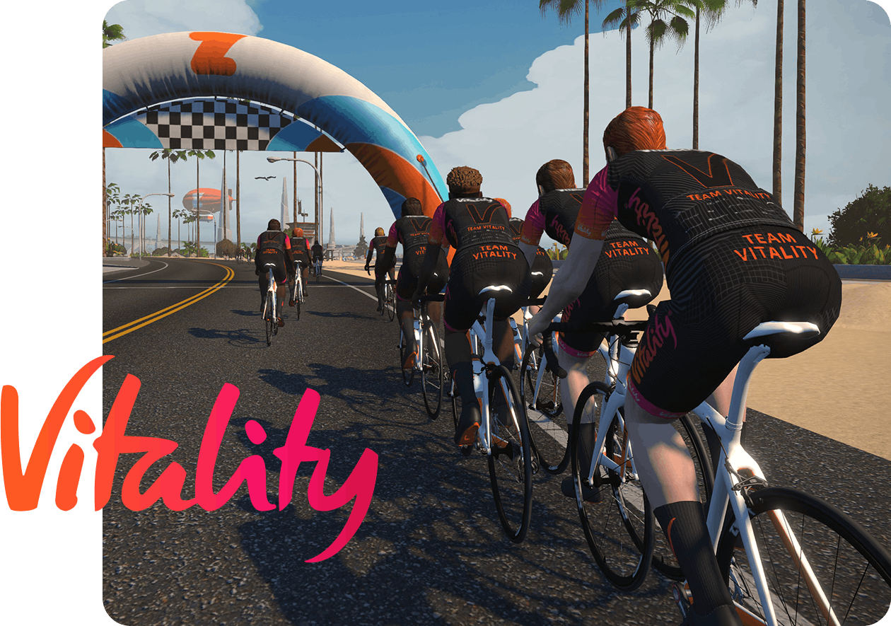ABOUT VITALITY