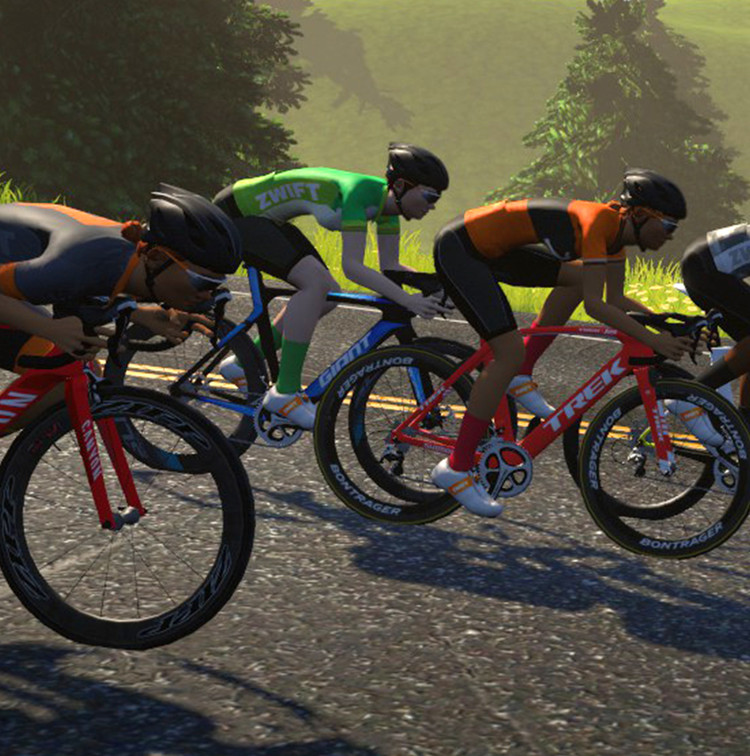 cost of zwift per month